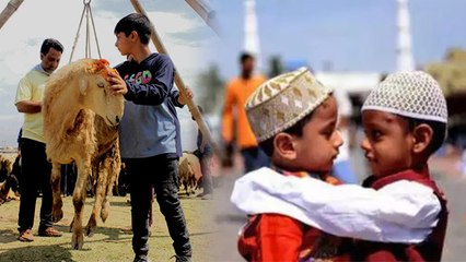 Bakrid 2023: बकरीद कितने दिन मनाया जाता है | बकरीद कितने दिन चलता है | Boldsky