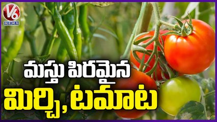 Tomato Price Hits Century Price Rise Due To Short Supply | Nalgonda | V6 News