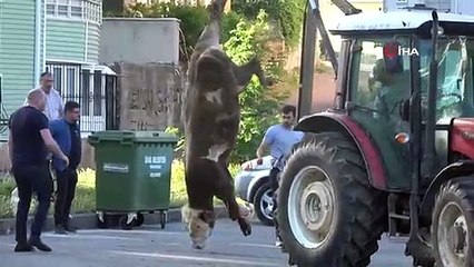 Kurban kesim alanları oyun parkına döndü