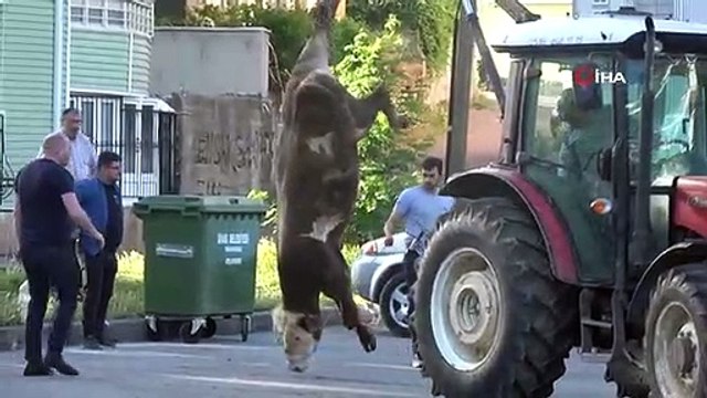 Kurban kesim alanları oyun parkına döndü