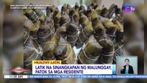 Latik na sinangkapan ng malunggay, patok sa mga residente ng Catanduanes! | BT