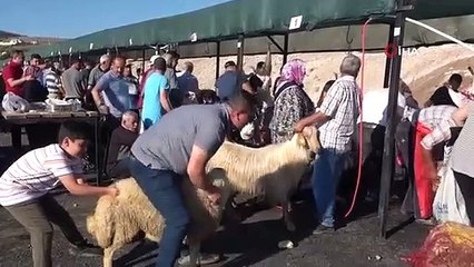 Bayram namazından çıkan vatandaşlar kurbanlarını kesti