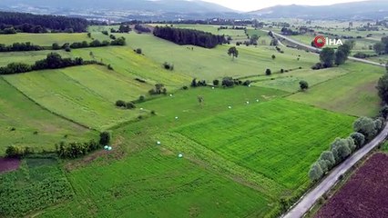 Grâce au soutien du gouvernement, les produits des agriculteurs ont été empêchés d'être endommagés