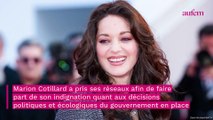 Marion Cotillard attaquée par l'entourage d'Emmanuel Macron après sa prise de position : 