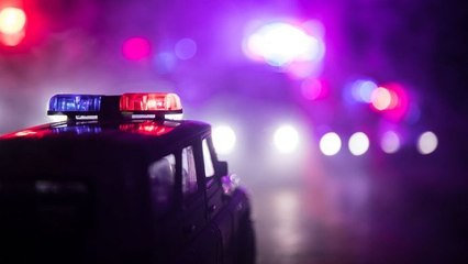 100 jours avec les gendarmes