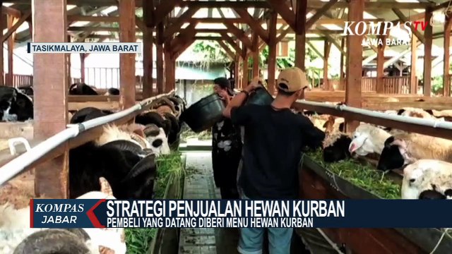 Penjual Hewan Kurban di Tasikmalaya Lewat Media Sosial