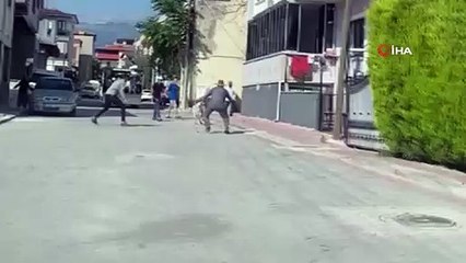 Firari kurbanlıklar zor anlar yaşattı