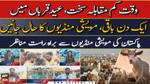 Eid-al- Adha preparations | Special Transmission on Cow Mandi |