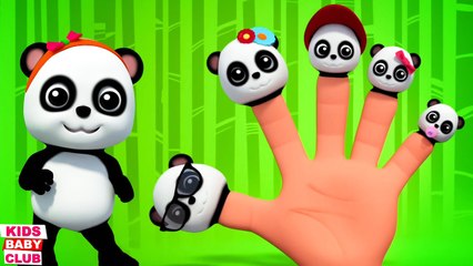 Baby Bao Panda Finger Family Kindergarten Rhyme for Babies