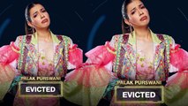 Palak Purswani calls her 'Bigg Boss OTT 2' journey 'amazing'