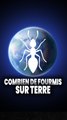 combien de fourmis sur Terre ? la réponse va te surprendre 