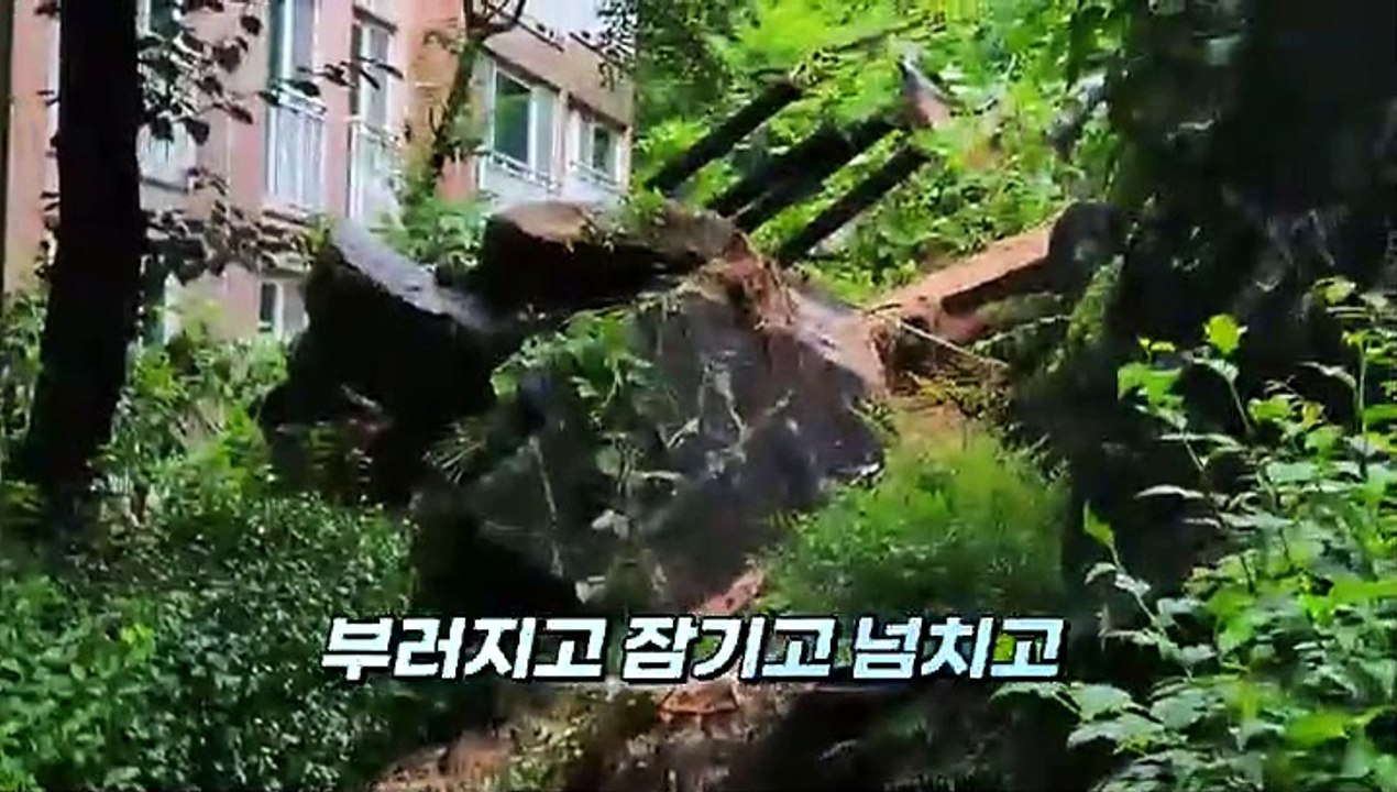 [영상구성] 밤새 물벼락 내린 광주 전남 피해 속출
