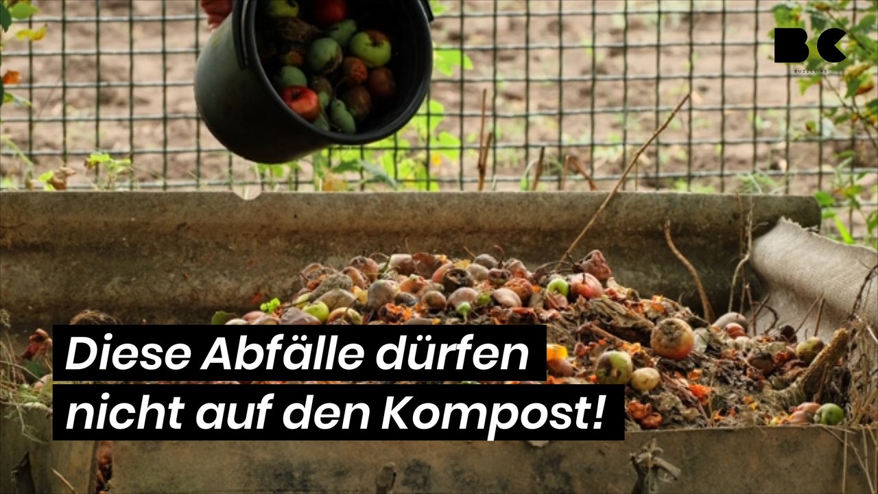 Diese abfälle dürfen nicht auf den kompost!