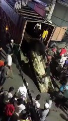 कुर्बानीसाठी आणलेल्या रेड्याने घातला धुमाकूळमुरादाबादमध्ये काय घडलं