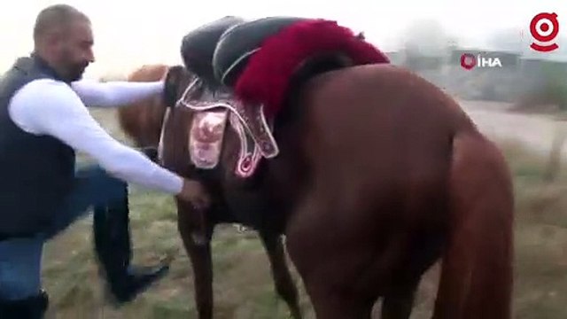 Pendik'te kaçan kurbanlık danayı at sırtında kovboy gibi aradı