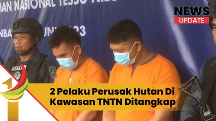 2 Pelaku Perusak Hutan Di Kawasan TNTN Ditangkap