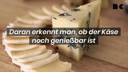 Daran erkennt man, ob der Käse noch genießbar ist