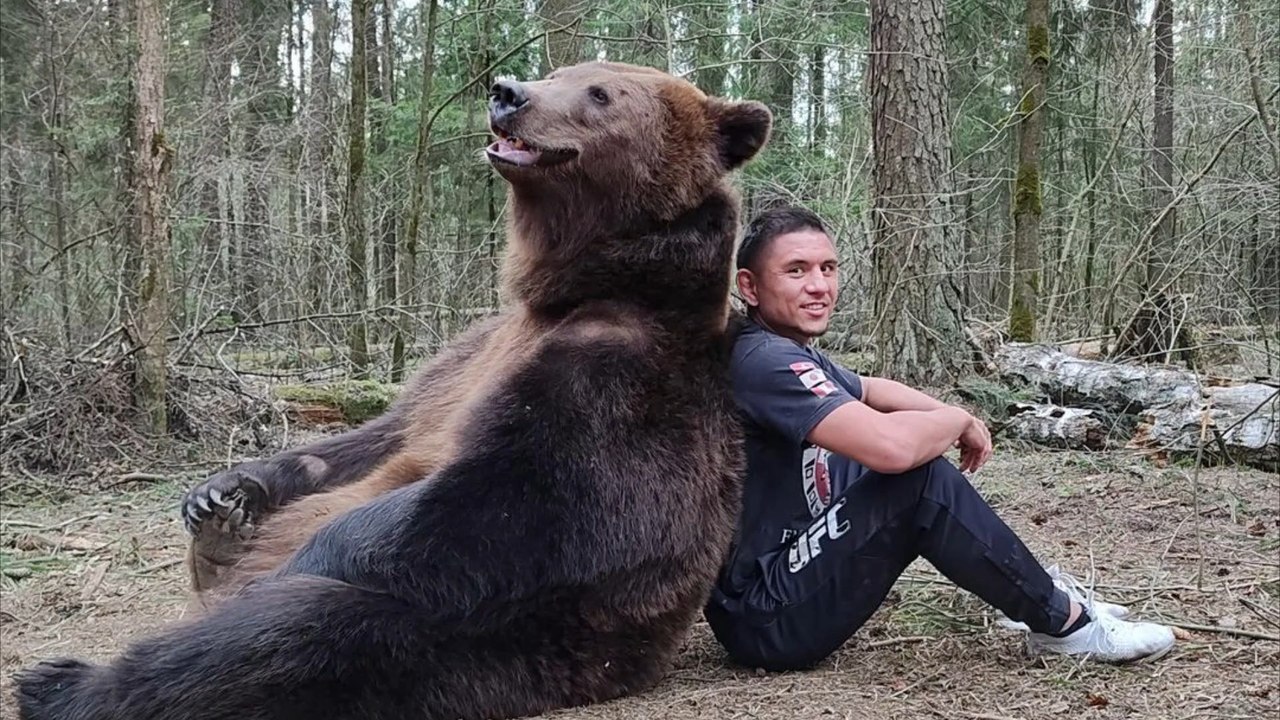 MMA-Fighter Yasubey Enomoto "kämpft" mit Grizzlybär