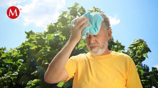 Desconoce Registro Civil de NL declaración de su Jefe de Atención a Usuarios