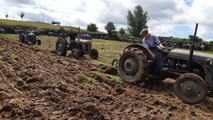 Working in the fields at the Ferguson Tractor Day at the Ulster Folk Museum