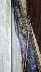 Sewage gushing over children's toys in a garden in Wilmot Road, Dartford.