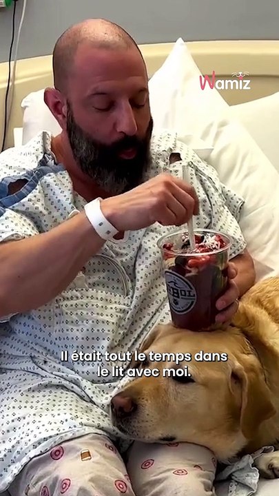 Son chien est resté avec lui pendant des jours à l'hôpital
