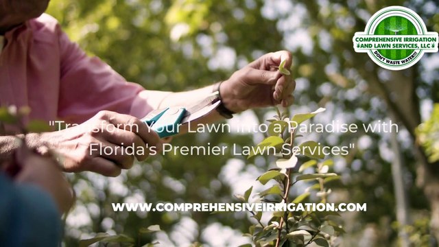 Thriving Palms - Celebrating Expert Palm Tree Care Services