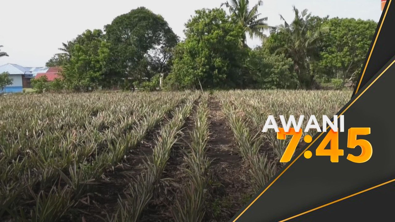 Projek pertanian, pemakanan libatkan 1,000 ekar tanah akan diumum Julai