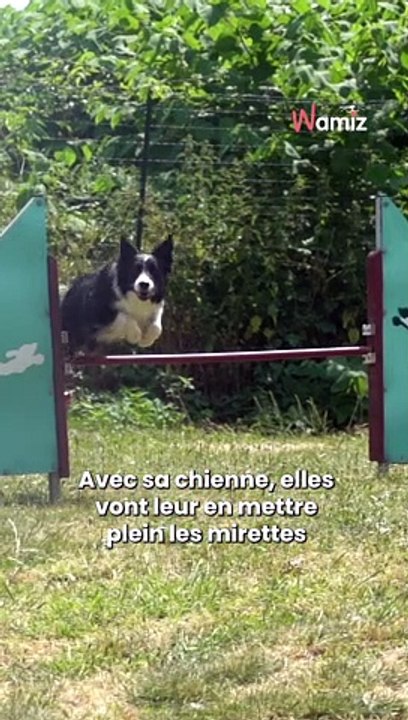 La meilleur vidéo d'agility ?