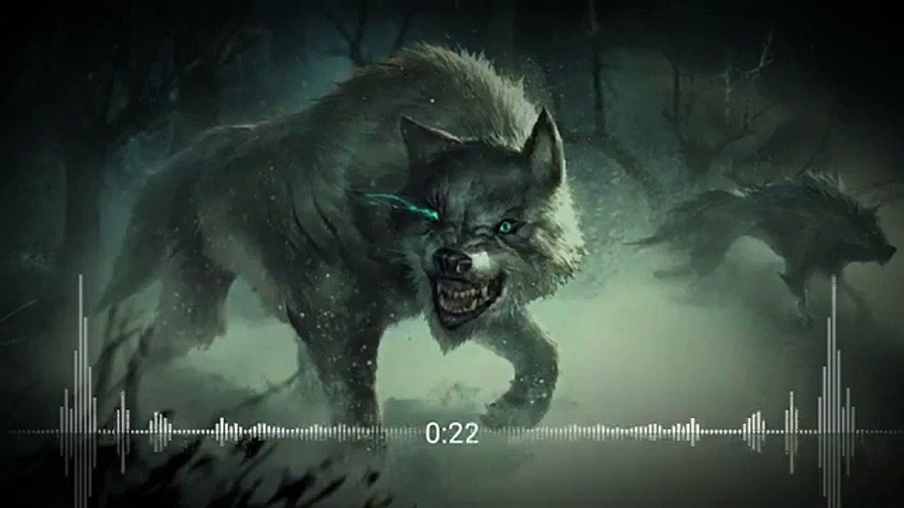 The Wolf Bass
