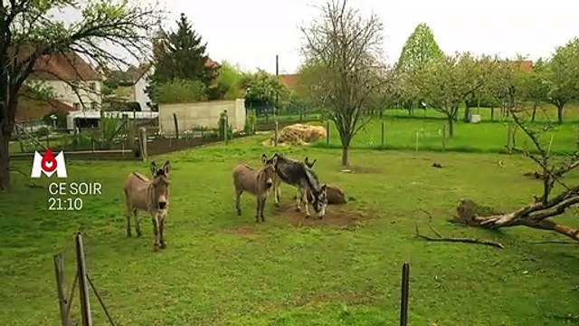 M6 lance ce soir à 21h10 une nouvelle émission présentée par Marie Portolano, Aidons nos fermes , pour aider des agriculteurs en difficulté à diversifier leurs revenus - VIDEO