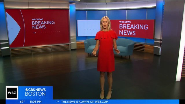 Une Américaine restée coincée pendant plusieurs jours dans de la boue a été retrouvée vivante dans un parc naturel du nord-est des États-Unis, une semaine après sa disparition