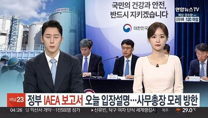 下载视频: 정부 'IAEA 보고서' 입장 오늘 설명…사무총장은 7일 방한