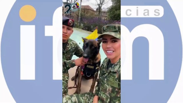 (EN VIDEO) ¡Las Fuerzas Armadas invitan a celebrar el 20 de Julio con orgullo y compromiso patrio!