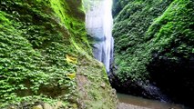 1 Hour Jungle Waterfall in Mountain Gorge: Relaxing Nature Sounds for Restful Sleep