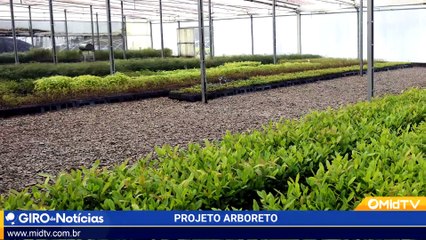 Conheça o Projeto Arboreto