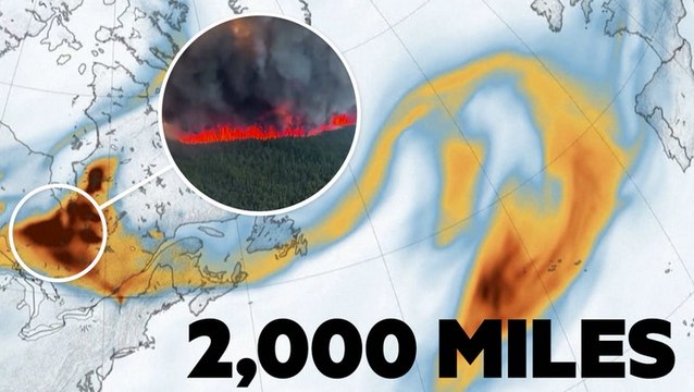 Smoke from Canada wildfires reaches Spain