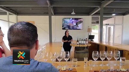 tn7-copey-de-dota-tendra-primera-fiesta-de-vendimia-280623