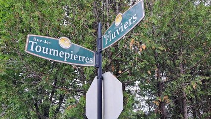 28 juin TOPO RC deplacer residents Maria