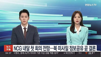 NCG 내달 첫 회의 전망…북 미사일 정보공유 곧 결론