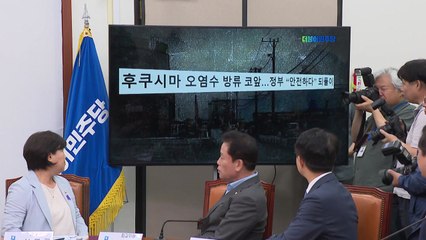 野 "與, 횟집 투어 말고 후쿠시마 한 달 살라...IAEA 서한 발송" / YTN