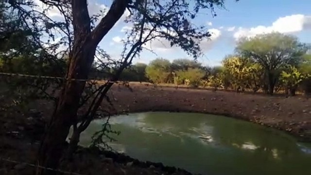 La Zona Norte arde; ganaderos y agricultores registran su año más difícil