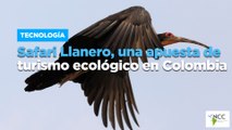 Safari Llanero, una apuesta de turismo ecológico en Colombia