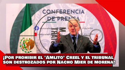 ¡VEAN! ¡Por prohibir el 'Amlito' Creel y el tribunal son destrozados por Nacho Mier de morena!