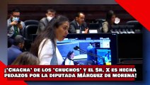 ¡VEAN! ¡Chacha de los chuchos y el Sr. X es hecha pedazos por la diputada Cecilia Márquez de morena!