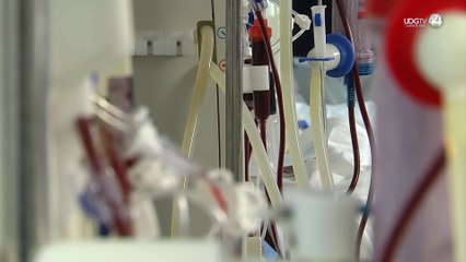 Especialistas detectan plomo en sangre en 17 por ciento de niños estudiados en el país