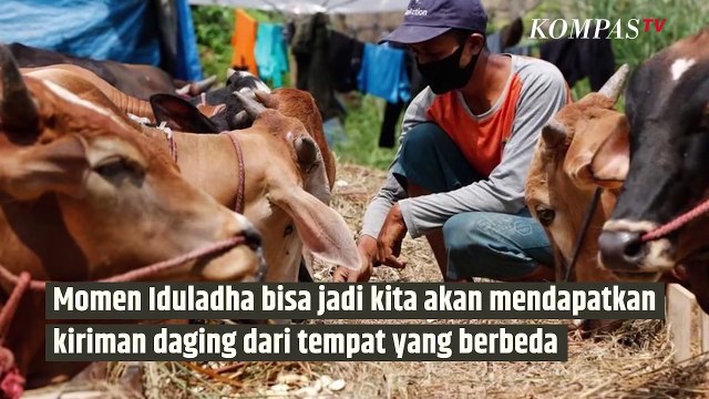 Bagaimana Cara Mudah Bedakan Daging Sapi dan Kambing?|SINAU