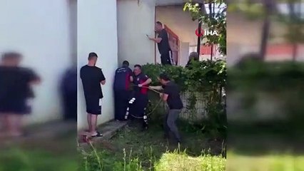 Des moutons coincés dans le vide secourus