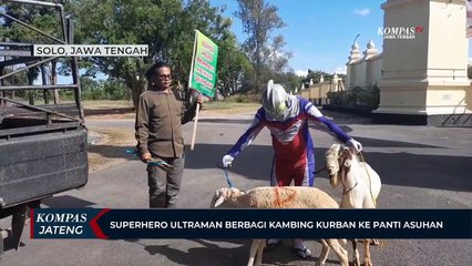 Superhero Ultraman Berbagi Kambing Kurban ke Panti Asuhan
