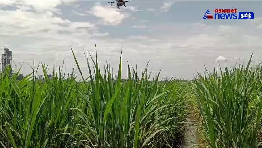 WATCH | ட்ரோன் மூலம் மருந்து தெளிப்பு! - செயல்முறை விளக்க கூட்டத்தில் விவசாயிகள் பங்கேற்பு! 